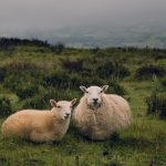 Your connection invoice of rights by Rebecca Matthews – Individual & Couples Remedy | Sexual intercourse Remedy