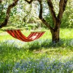 The Lots of Added benefits of Kegels