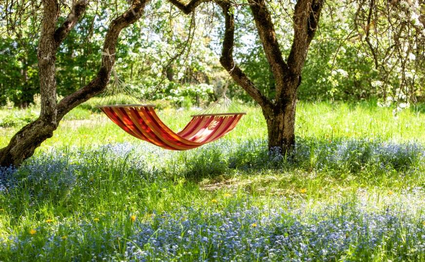 The Lots of Added benefits of Kegels