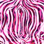 My Missing Vagina — SUSANNAH BRESLIN