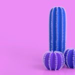 Intimacy Shouldn’t Damage