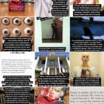 IWMF Instagram Tales Knowledge Baby Takeover — SUSANNAH BRESLIN